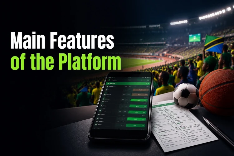 Main Features of the Platform